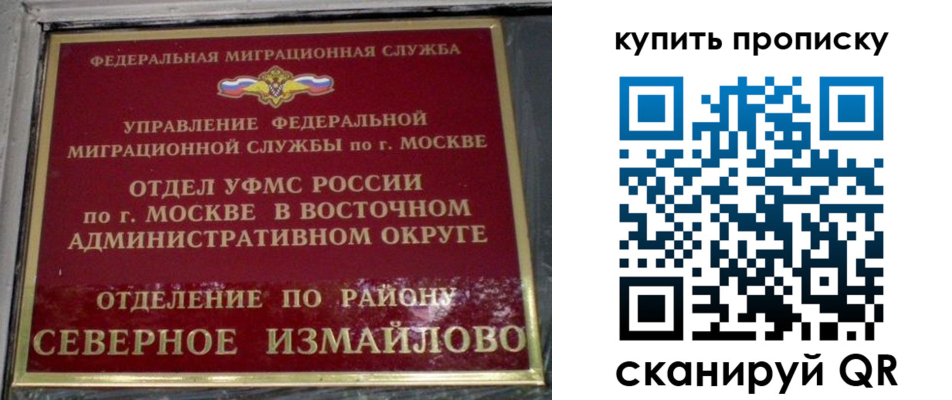 прописка в квартире в Камешково